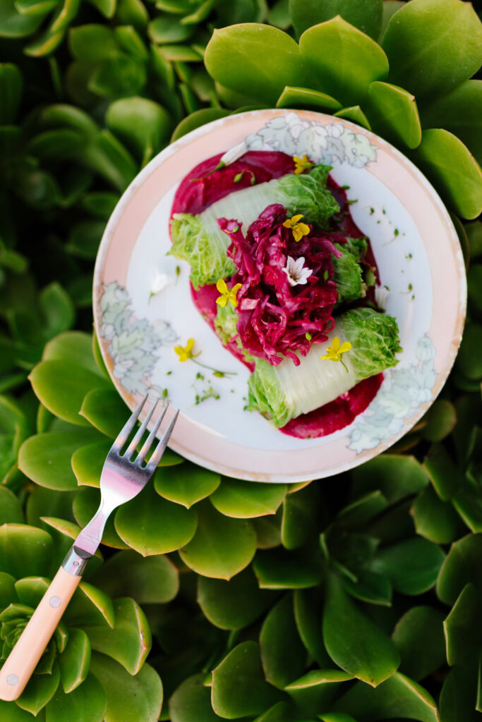 Plate with cabbage rolls and a fork atop succulents