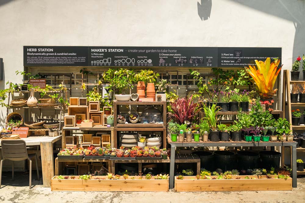 DIY garden wall at Inn at Moonlight Beach.