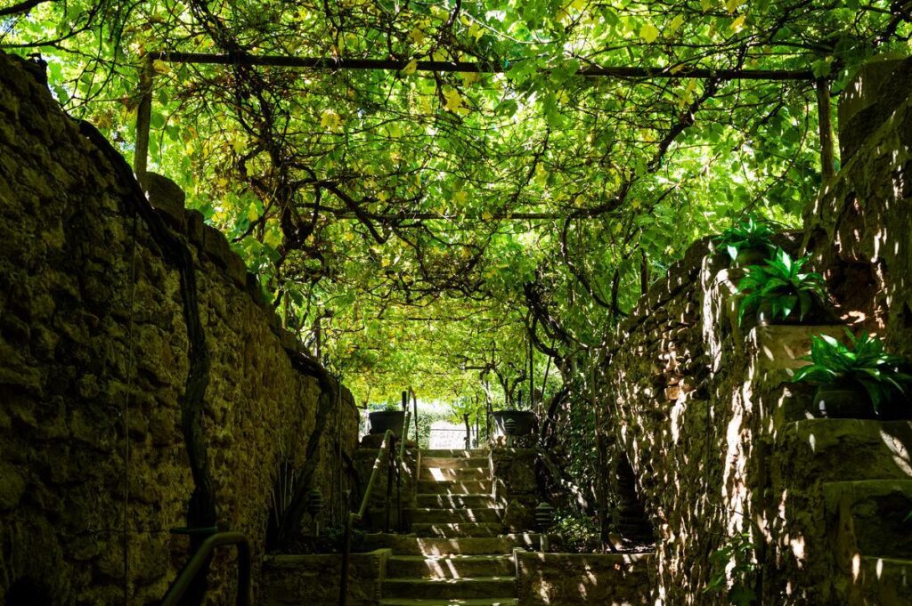 Forestiere Underground Gardens | Historic Site in Fresno, CA
