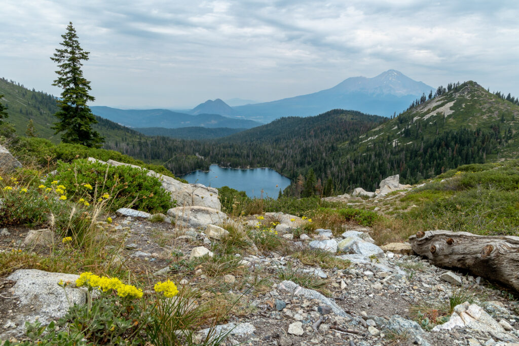 the view from Heart Lake looking out towards Mount Shasta in the Shasta Cascade region
