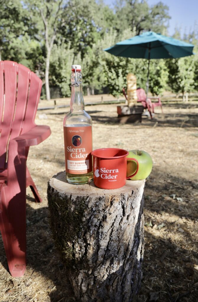 Tree stump in an orchard with a Sierra Cider red cup, a green apple, and a bottle of cider next to a red chair