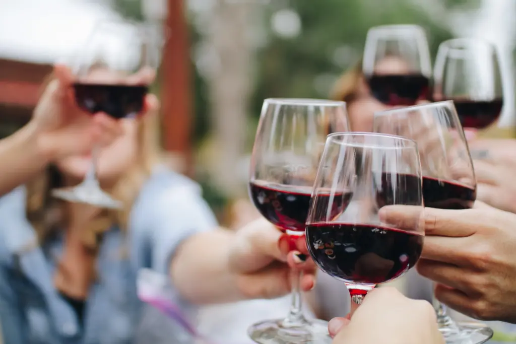 women toasting with glasses of red wine