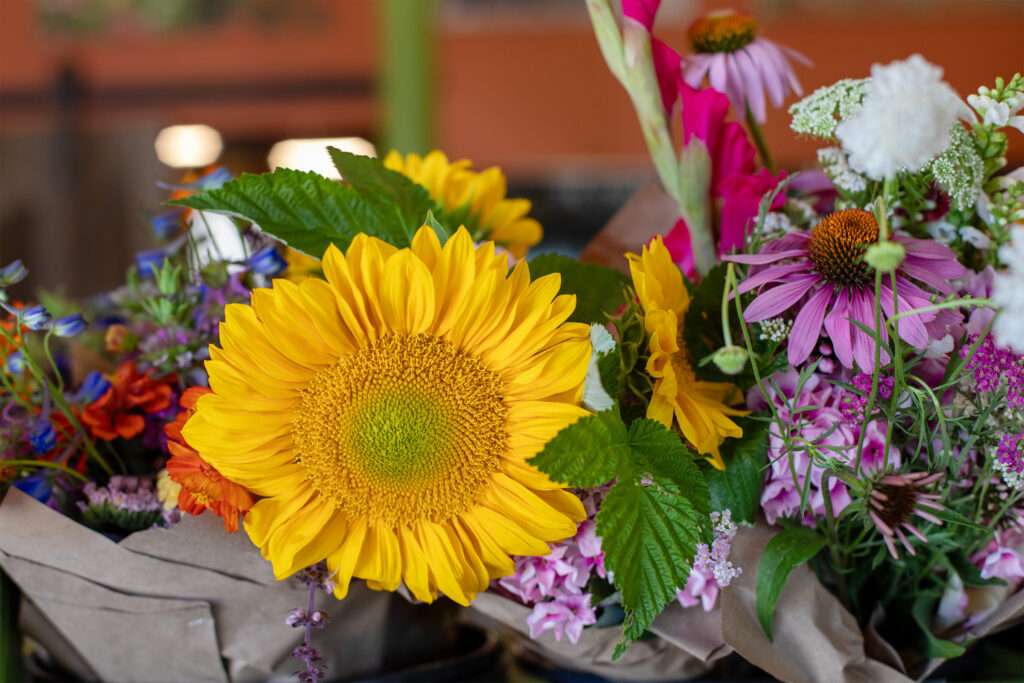 Close up of various flower bouquets