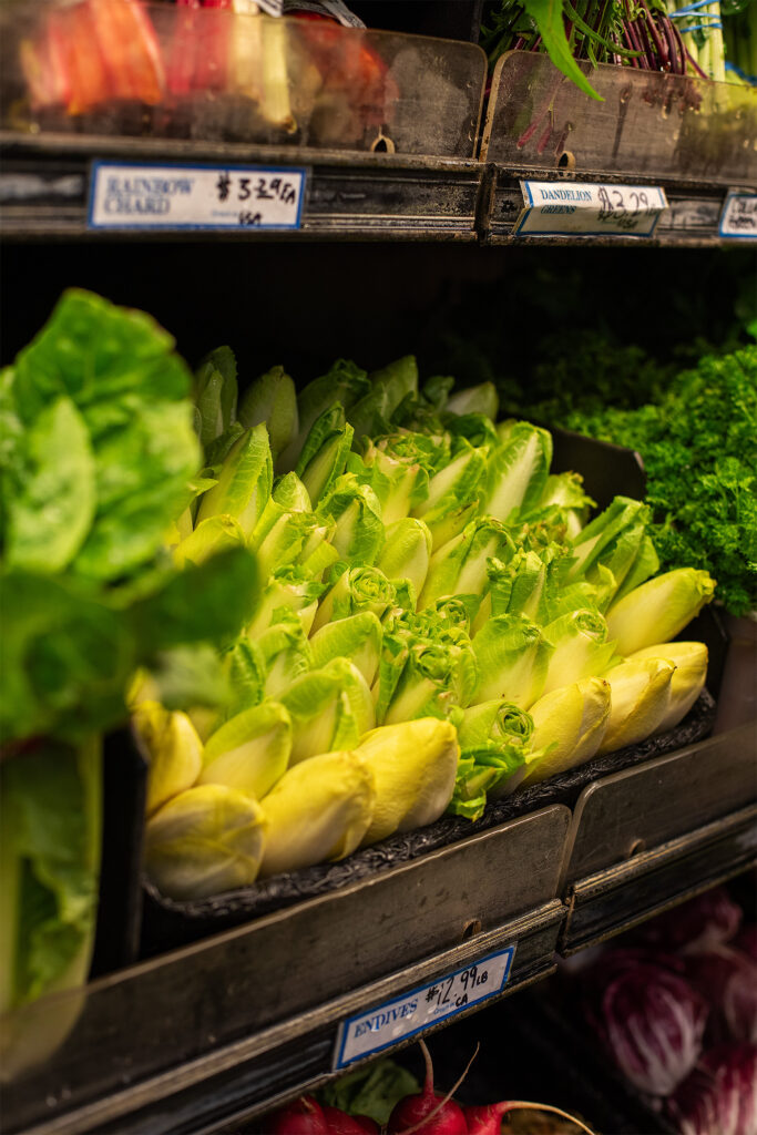 Closeup of endive in a cooler