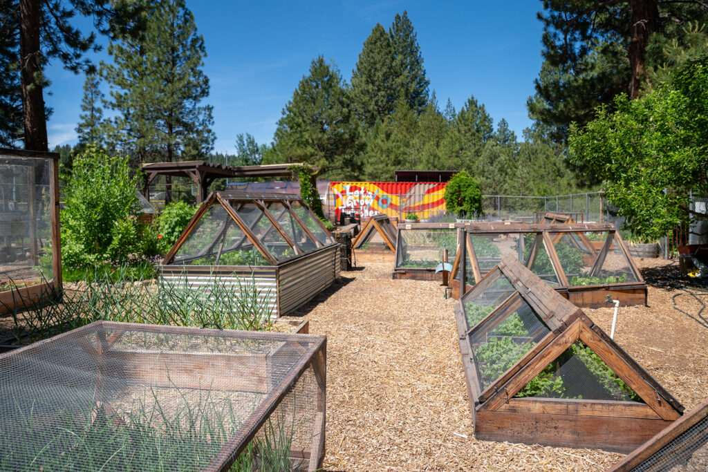 Container gardens with a painted shipping container in the background