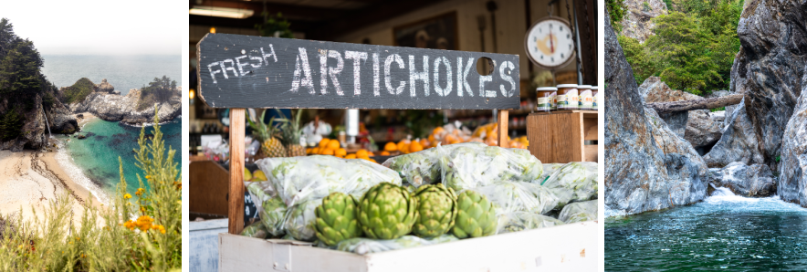 collage of Big Sur pics with artichokes from Monterey
