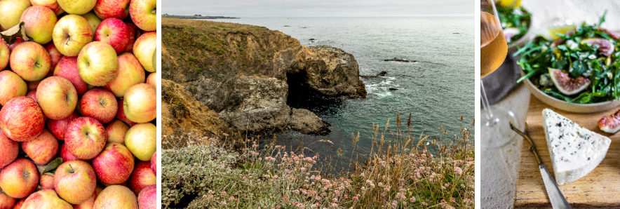Apples, blue cheese and images from the Mendocino headlands trail