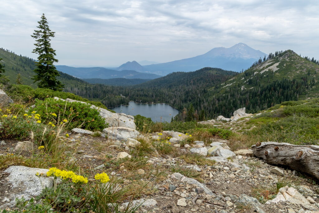 Heart Lake looking out to Mount Shasta