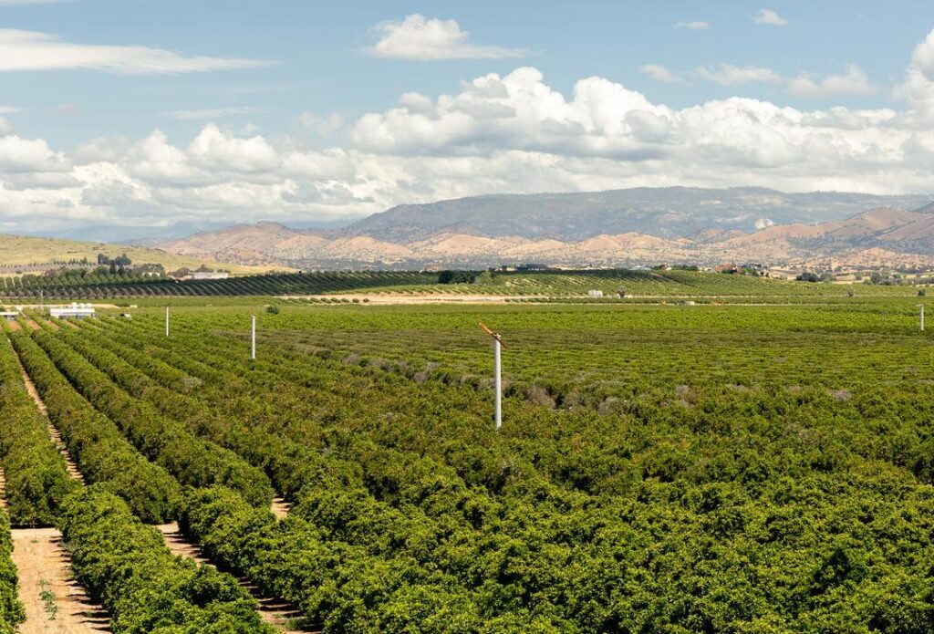 View looking out at California's Central Valley - where you'll find lots of farm camping