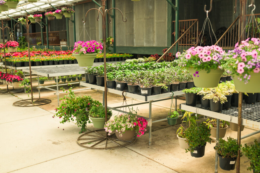 some of the plants available at High-Hand Nursery in Loomis