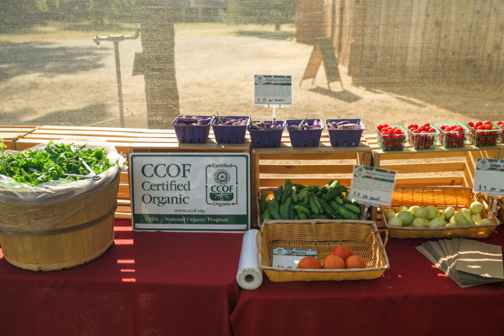 some of the produce you'll find at the seasonal farm stand at Red Gate Ranch