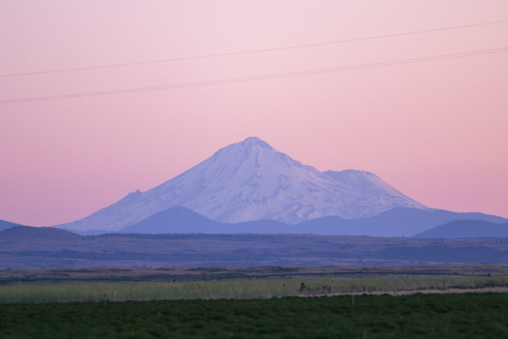 Views of Mount Shasta from your Northern California Road Trip