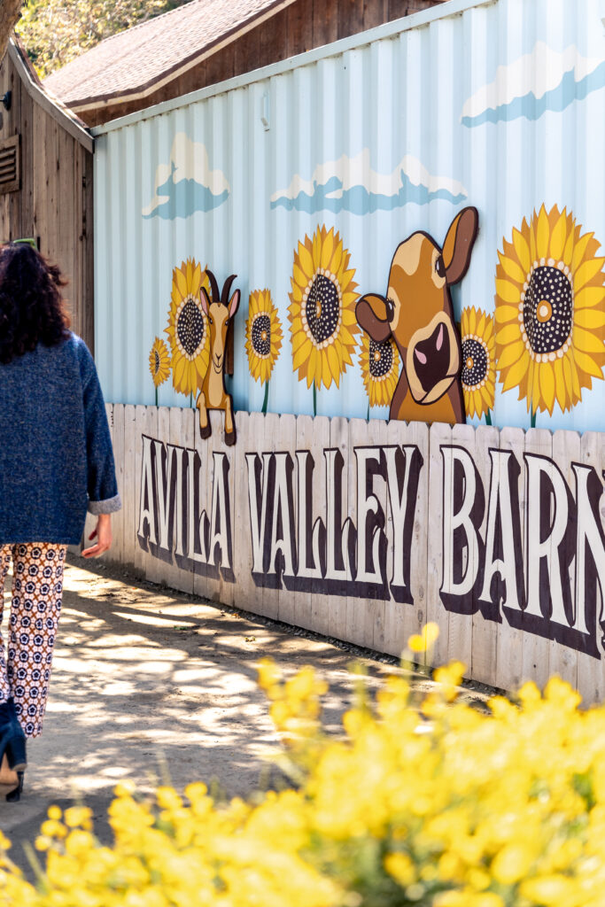 Aida Mollenkamp walking at Avila Valley Barn