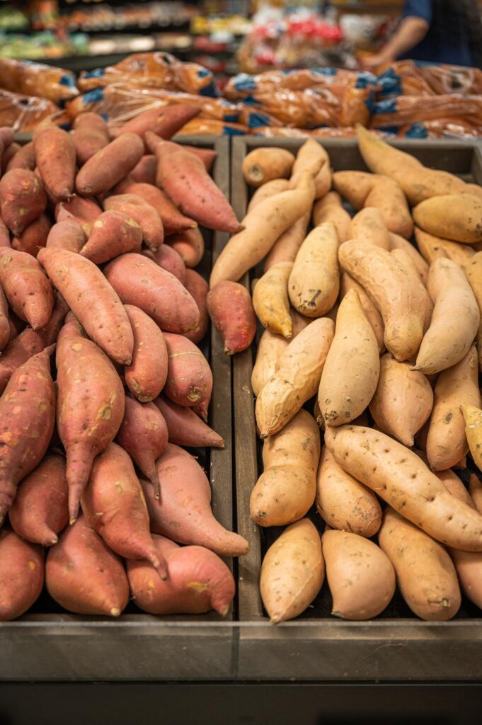 camp on a farm where California sweetpotatoes are grown 