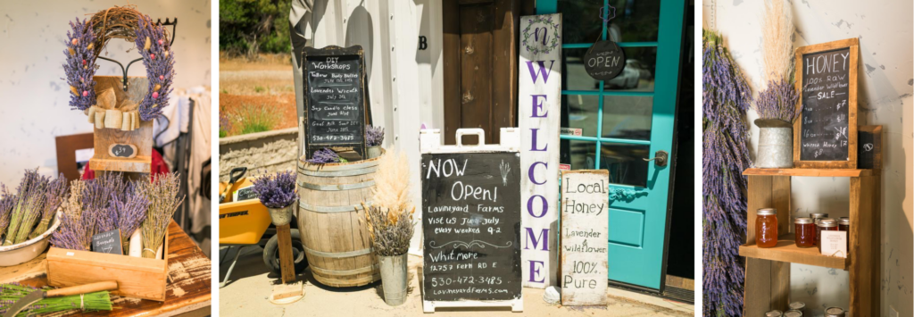 Lavineyard collage of things available in the gift shop