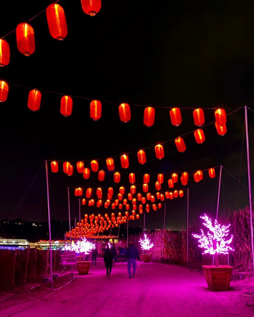 Hikari Festival of Lights at Tanaka Farms