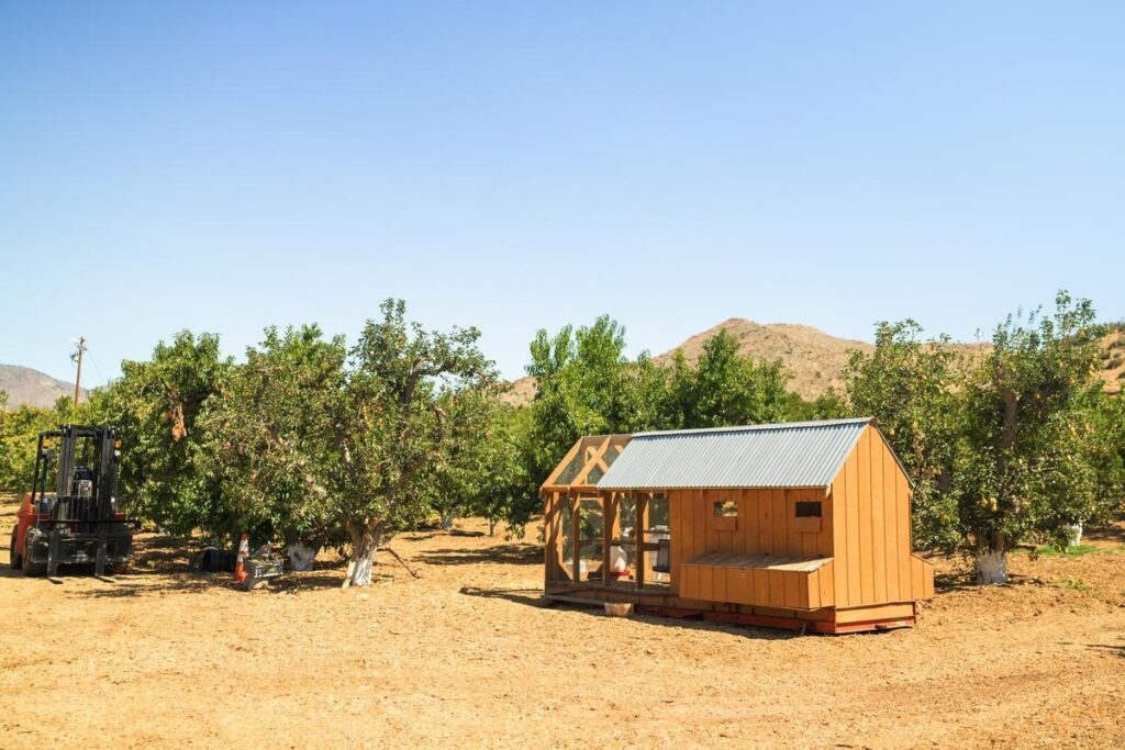 chicken coop in peach orchard