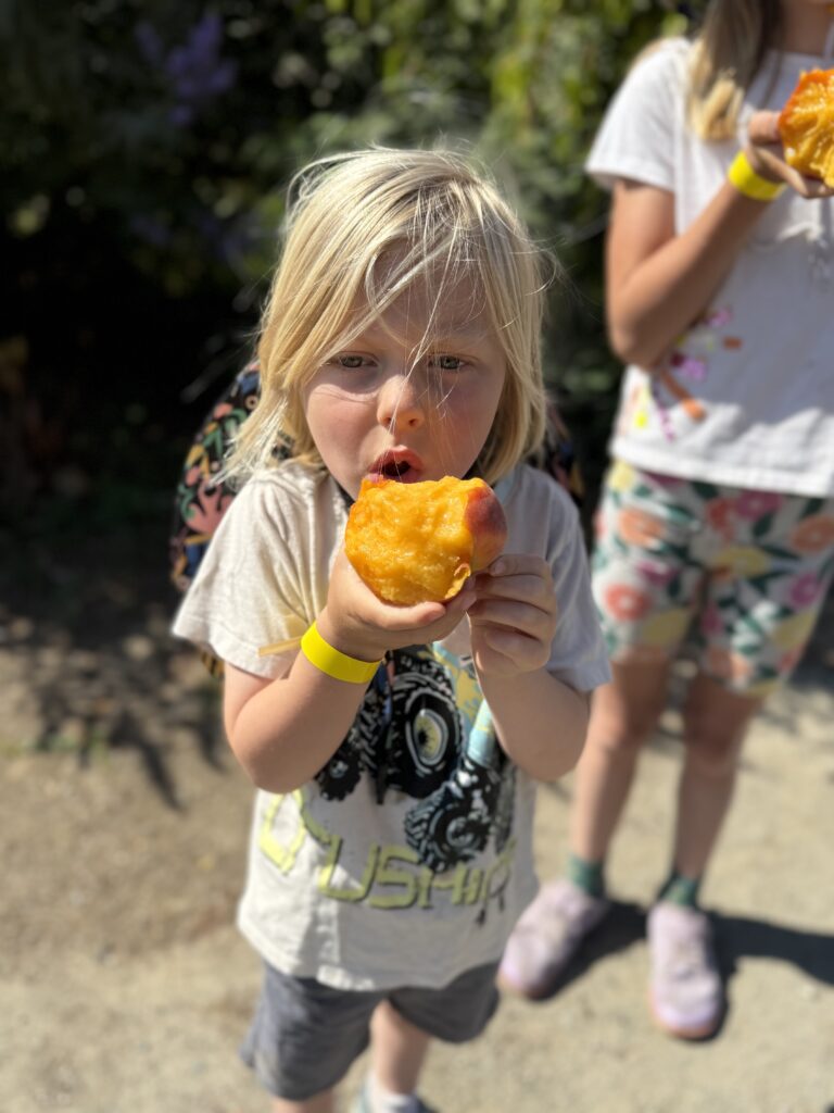 child tasting a peach at Andy's Orchard in Morgan Hill