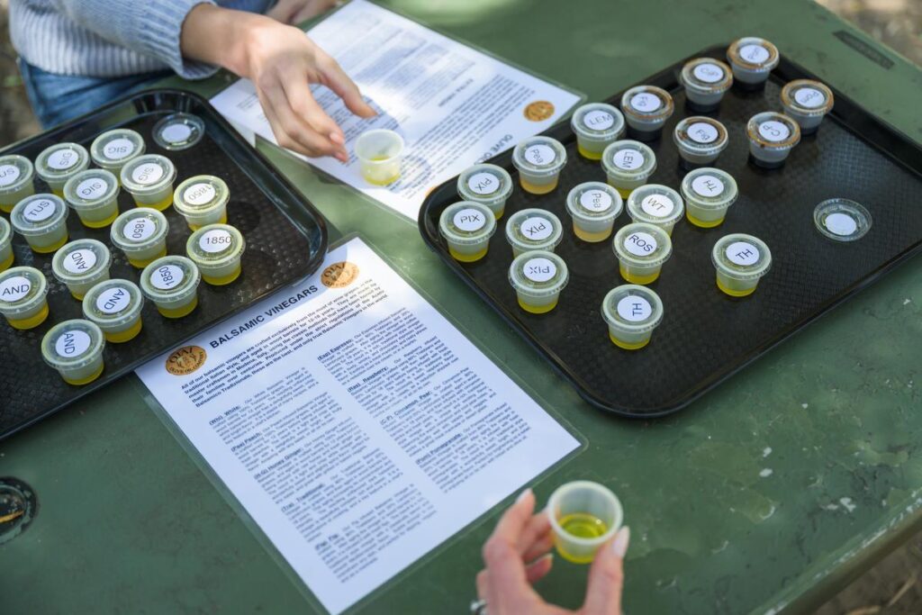tasting multiple olive oils